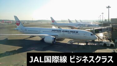 JAL国際線 ビジネスクラス(SKY SUITE Ⅲ)搭乗記