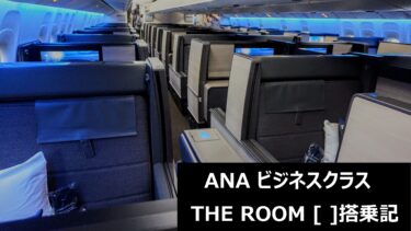 THE Room (ザ ルーム) ANAビジネスクラス搭乗記～ほぼファーストクラス!?驚きの快適フライト～